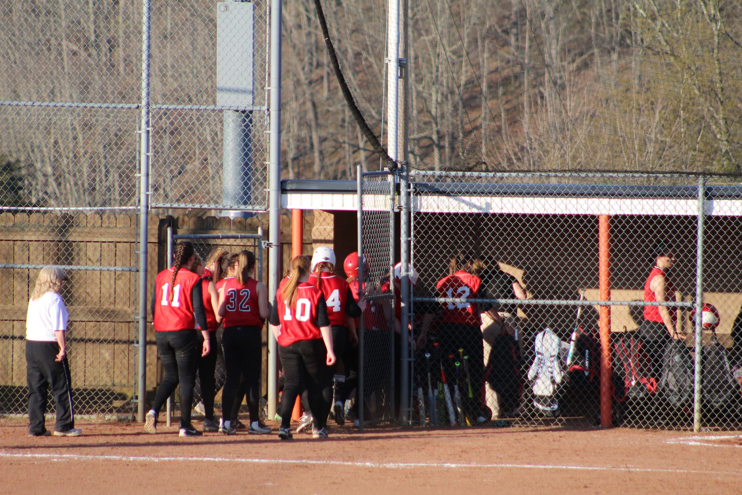 Softball batter