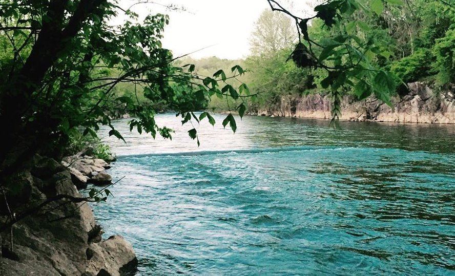 Clinch River from Sugar Hill Loop Trail