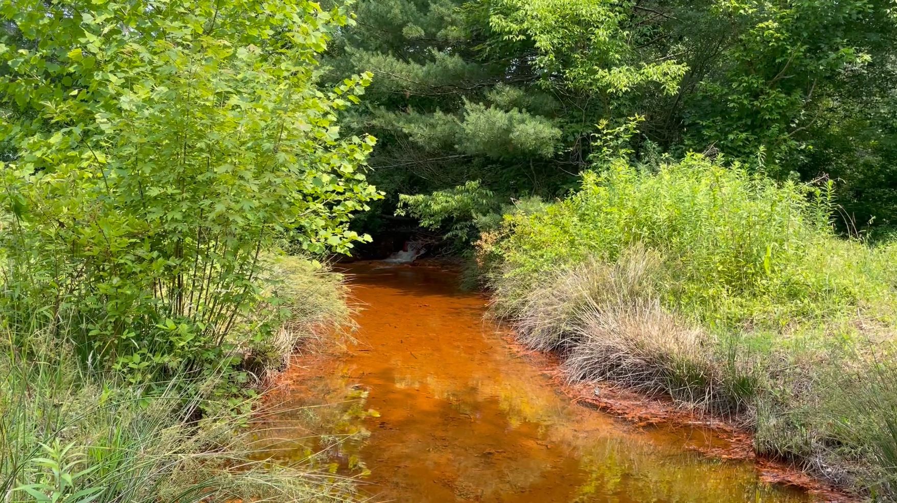 Acid mine drainage in Sunday Creek, Ohio.