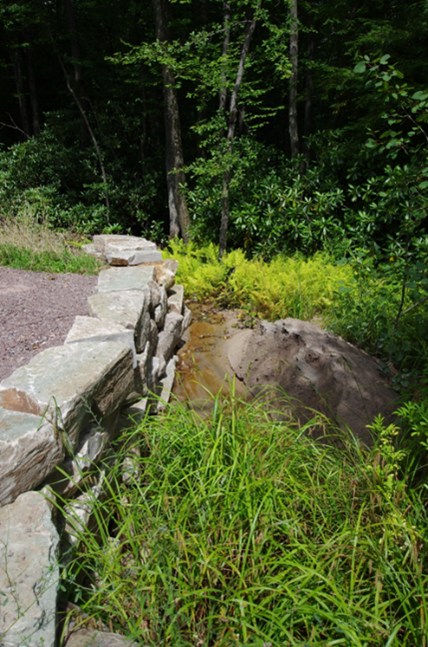 A rock wall, grass, and trees outline sloping abandoned mine land