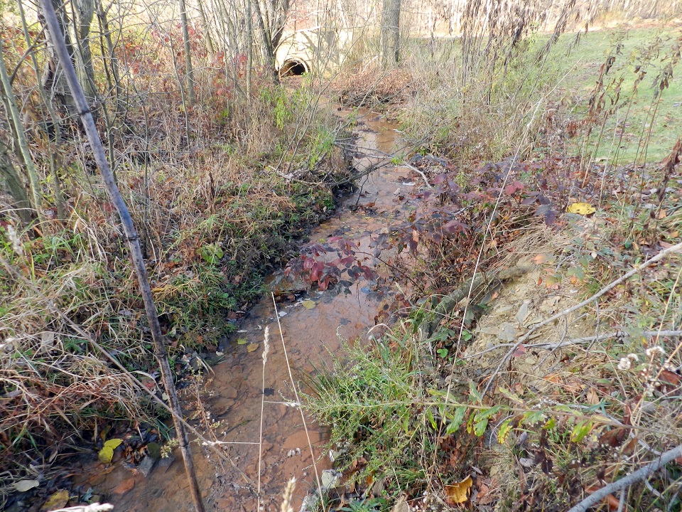 A small creek with orange water curves through fall-colored woods