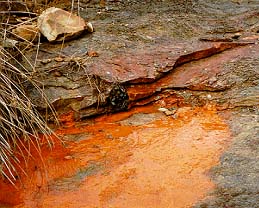 Acid Mine Drainage