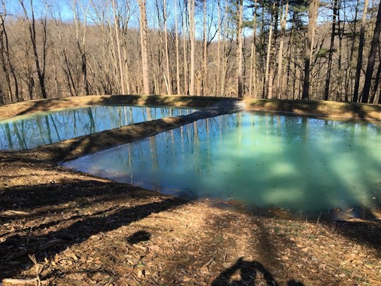 A flush pond surrounded by trees.