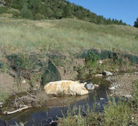 A small waterway with rocks sits along the grassy and treed hillside of an abandoned mine land in Raton, NM.