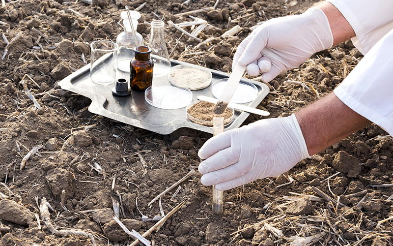 Testing soil samples