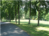 Golf Course 9