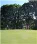 Junior Golf